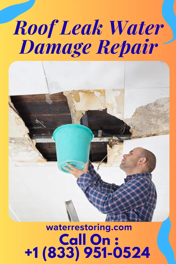 Roof Leak Water Damage Repair in Darby, MT